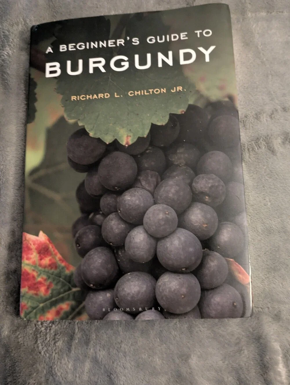 A Beginner's Guide to Burgundy - Hardcover Book (Black/Burgundy)